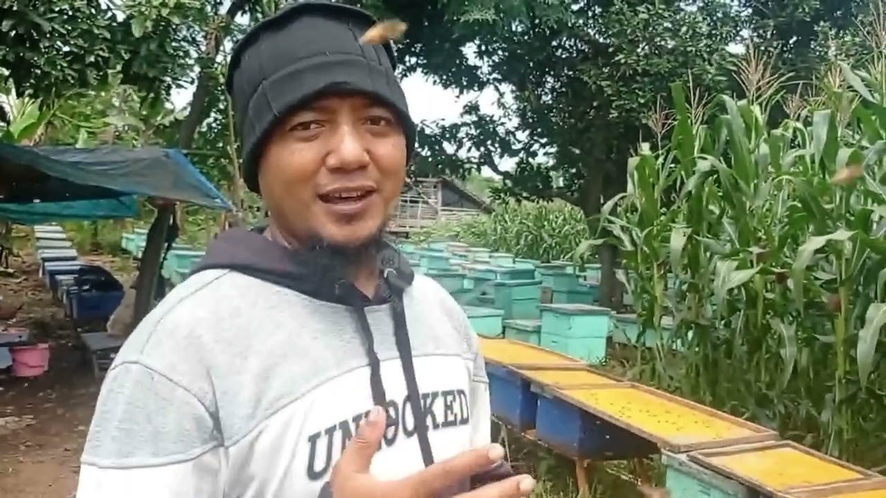 Gudang Madu Blambangan