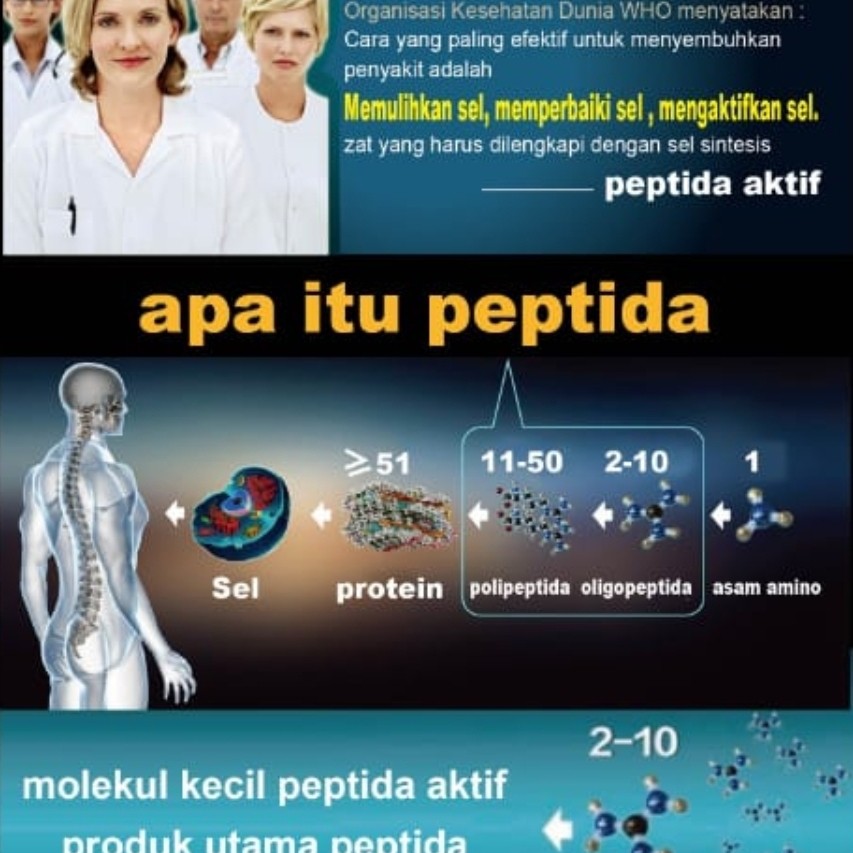 bioaktif oligopeptida, zelner, obat manjur