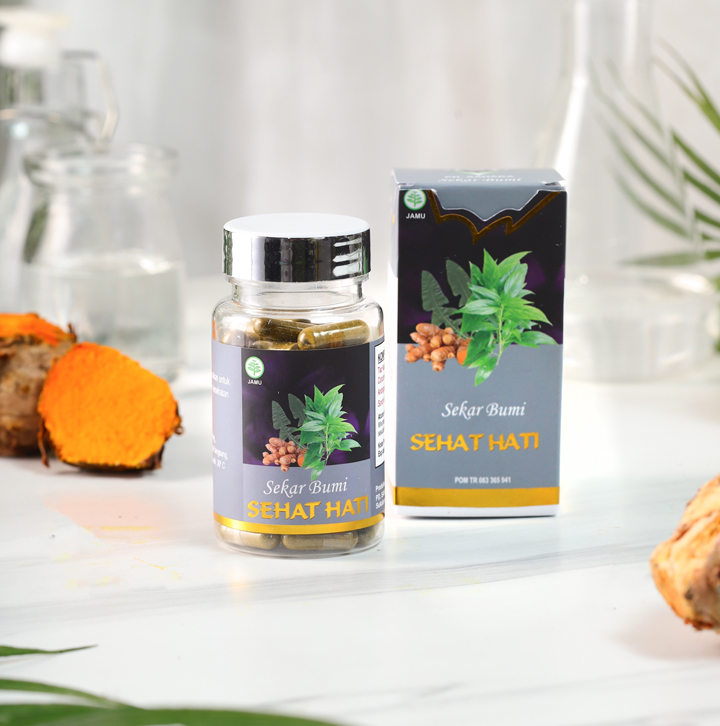 jamu herbal hepatitis liver