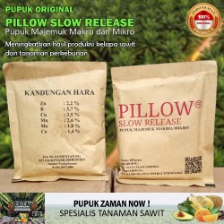 .Pillow Slow Release.